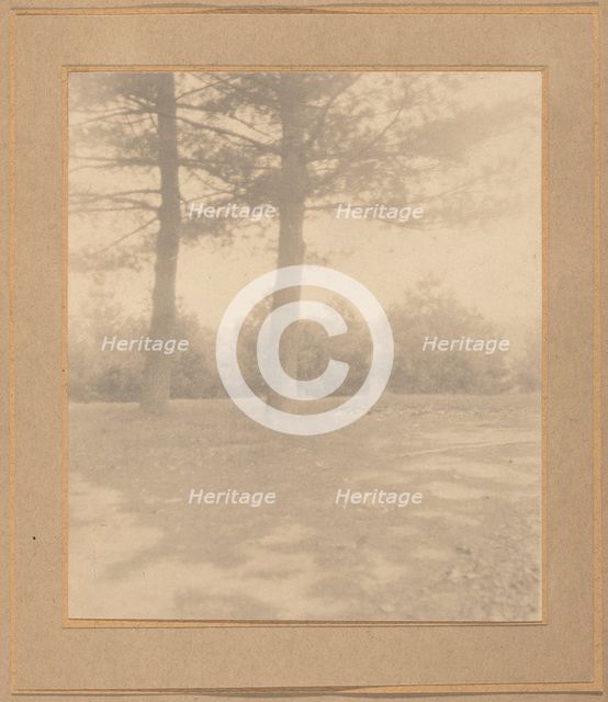 Landscape with trees, c. 1900. Creator: Joseph Turner Keiley.