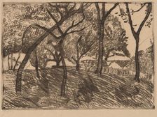 Landscape with Trees, c. 1902. Creator: Paula Modersohn-Becker