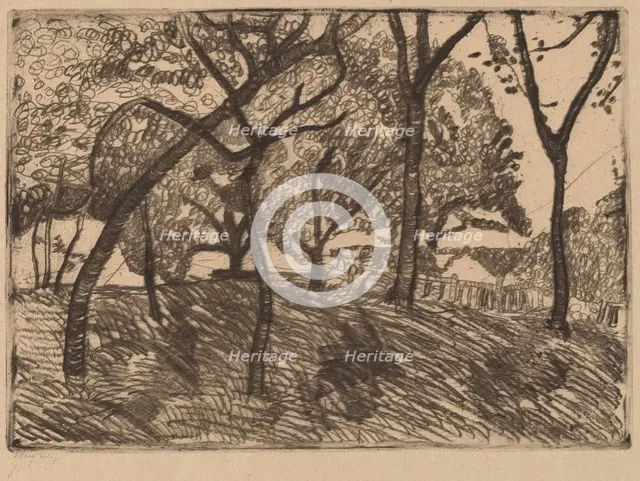 Landscape with Trees, c. 1902. Creator: Paula Modersohn-Becker.