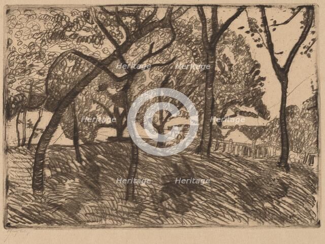 Landscape with Trees, c. 1902. Creator: Paula Modersohn-Becker.