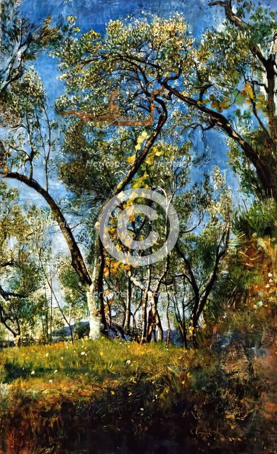 Landscape with Trees, c1920s. Creator: Annie Louisa Swynnerton.