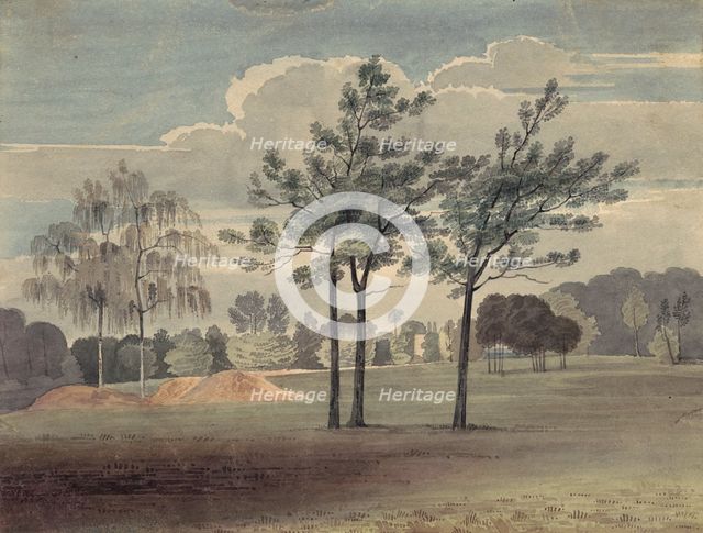 Landscape with trees, c19th century. Creator: John Baxter.
