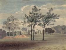 Landscape with trees, c19th century. Creator: John Baxter