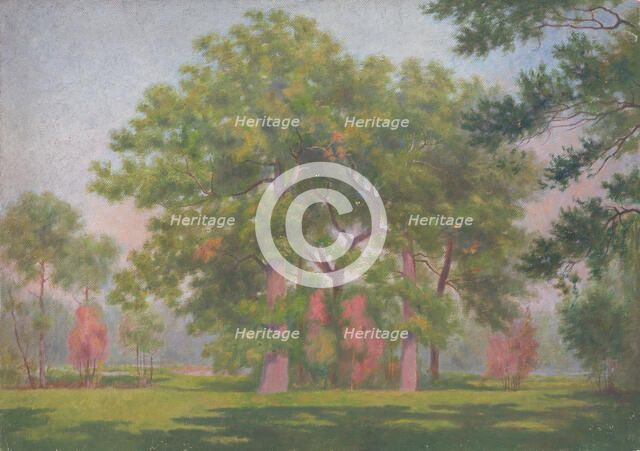 Landscape with trees, early 20th century. Creator: Dezider Czölder.