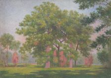 Landscape with trees, early 20th century. Creator: Dezider Czölder