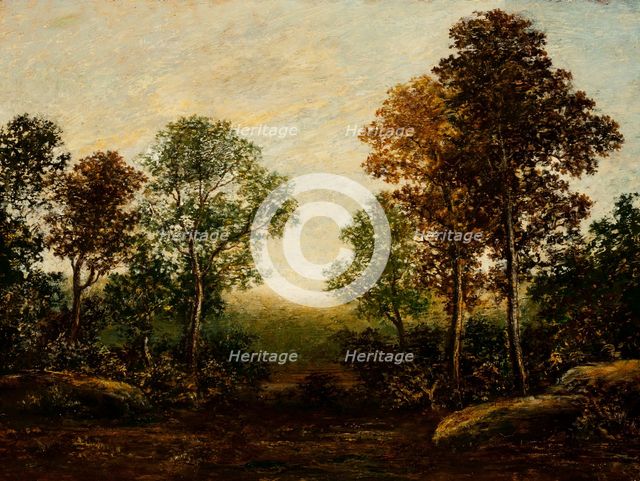 Landscape with Trees (image 1 of 2), between c1883 and c1898. Creator: Ralph Blakelock.