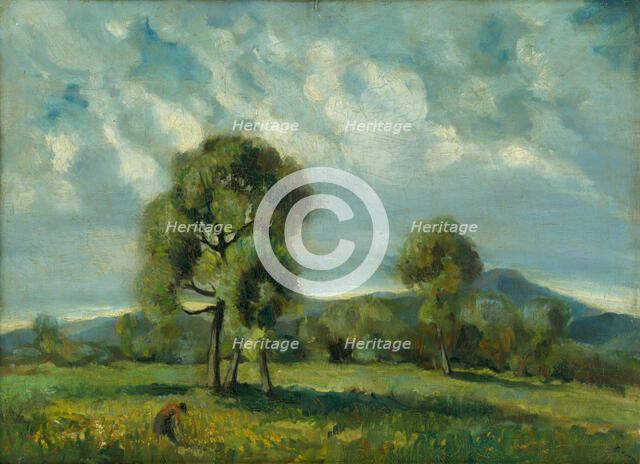 Landscape with trees, Liptov, c1934. Creator: Zolo Palugyay.