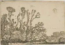 Landscape with Trees, Pond and Sheep, 1621. Creator: Willem Pietersz. Buytewech