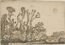 Landscape with Trees, Pond and Sheep, 1621. Creator: Willem Pietersz. Buytewech