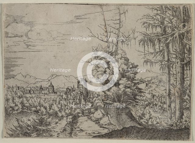 Landscape with Two Pines, 1522-1525. Creator: Albrecht Altdorfer (German, c. 1480-1538).