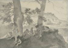 Landscape with two tree trunks in the foreground. Creator: Adam Pynacker