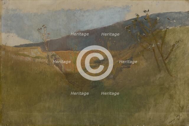 Landscapes with Thistles, 1878 - 1880. Creator: Ladislav Mednyanszky.