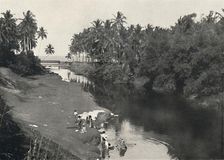 Landschaft am Fluss bei Dehiwala, zwischen Colombo und Mount Lavinia 1926
