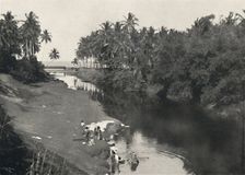 Landschaft am Fluss bei Dehiwala, zwischen Colombo und Mount Lavinia 1926