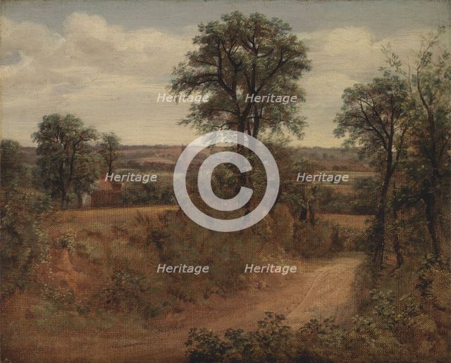 Lane near Dedham, 1802. Creator: John Constable.