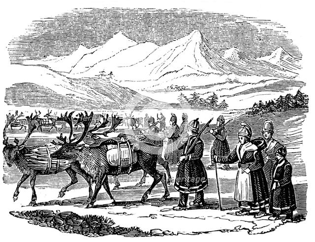 Lapps setting out on a migration with reindeer, Lapland, 1840. Artist: Unknown