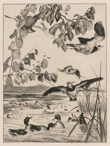 Lapwings and Teals, 1862. Creator: Félix Bracquemond (French, 1833-1914)