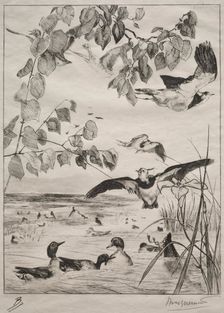 Lapwings and Teals, 1862. Creator: Félix Bracquemond (French, 1833-1914); Alfred Cadart