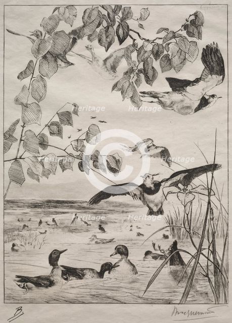 Lapwings and Teals, 1862. Creator: Félix Bracquemond (French, 1833-1914); Alfred Cadart.