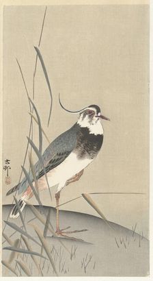 Lapwing and reed. Creator: Ohara, Koson (1877-1945)