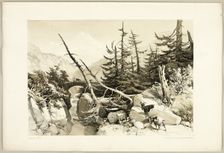Larch, from The Park and the Forest, 1841. Creator: James Duffield Harding