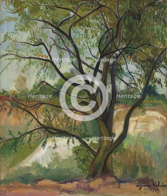 L'arbre (The Tree), 1912. Creator: Valadon; Suzanne (1865-1938).