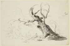 Large Gnarled Tree with Bearded Man Seated Below, between 1820 and 1848. Creator: Thomas Cole