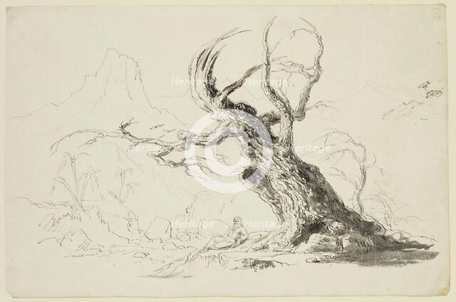 Large Gnarled Tree with Bearded Man Seated Below, between 1820 and 1848. Creator: Thomas Cole.
