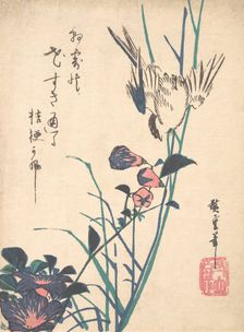 Large-flowered Flat Bill and Sparrow, ca. 1833., ca. 1833. Creator: Ando Hiroshige