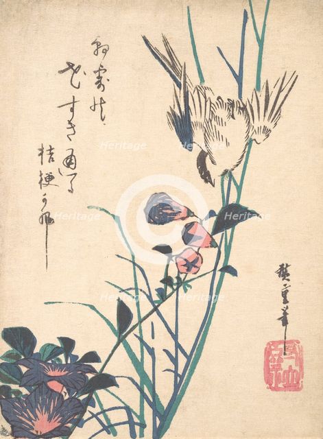 Large-flowered Flat Bill and Sparrow, ca. 1833., ca. 1833. Creator: Ando Hiroshige.