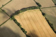Large, likely prehistoric, enclosure crop mark, near Churchstanton, Somerset, 2018. Creator: Historic England Staff Photographer