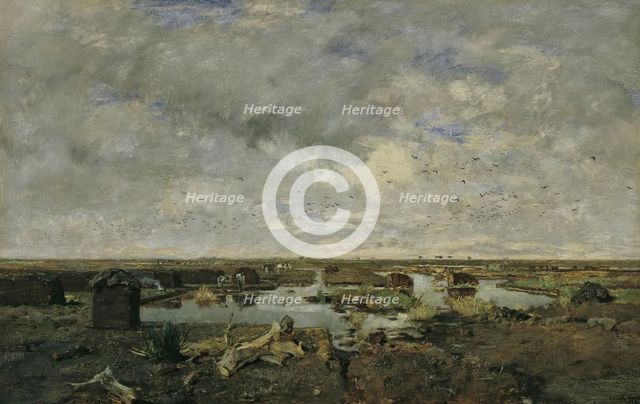 Large moorland landscape, 1879. Creator: Eugen Jettel.
