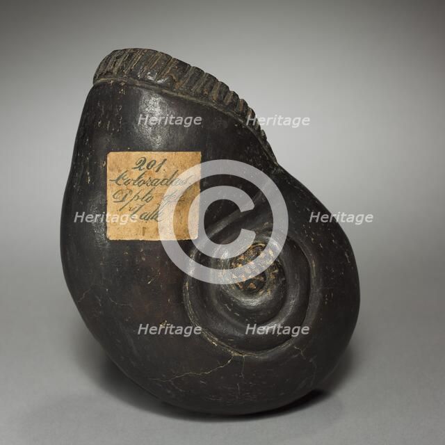 Large Snail, before 1921. Creator: Unknown.