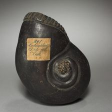 Large Snail, before 1921. Creator: Unknown