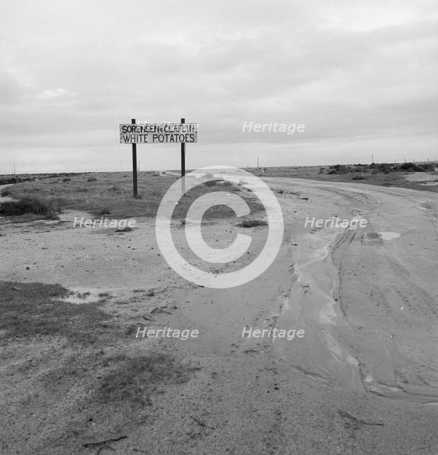 Large-scale agriculture, beside U.S. 99, Kern County, California, 1939. Creator: Dorothea Lange.