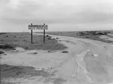 Large-scale agriculture, beside U.S. 99, Kern County, California , 1939. Creator: Dorothea Lange