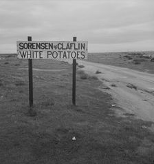Large-scale agriculture beside U.S. 99. , Kern County, California, 1939. Creator: Dorothea Lange