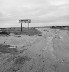 Large-scale agriculture, beside U.S. 99, Kern County, California, 1939. Creator: Dorothea Lange
