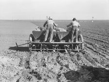 Large-scale, mechanized farming - potato planter, Kern County, California, 1939. Creator: Dorothea Lange
