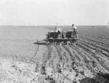 Large-scale, mechanized farming - potato planter, Kern County, California, 1939. Creator: Dorothea Lange