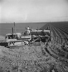 Large-scale, mechanized farming - potato planter, Kern County, California, 1939. Creator: Dorothea Lange