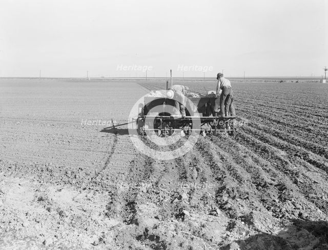 Large-scale, mechanized farming - potato planter, Kern County, California, 1939. Creator: Dorothea Lange.