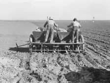 Large-scale, mechanized farming - potato planter, Kern County, California, 1939. Creator: Dorothea Lange