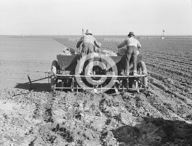 Large-scale, mechanized farming - potato planter, Kern County, California, 1939. Creator: Dorothea Lange.