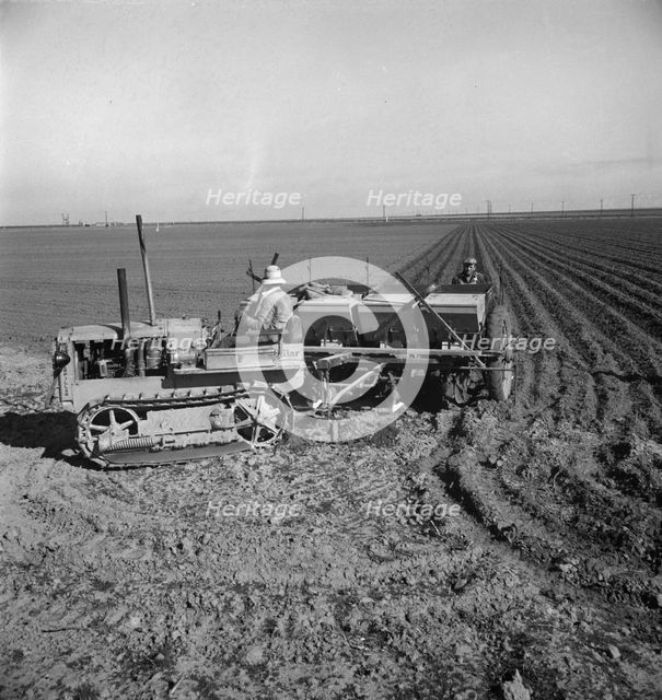Large-scale, mechanized farming - potato planter, Kern County, California, 1939. Creator: Dorothea Lange.