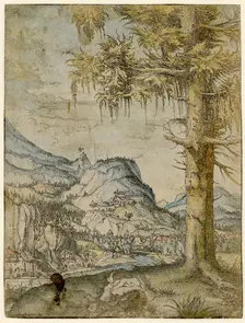 Large Spruce, ca 1517-1520. Creator: Altdorfer, Albrecht (c. 1480-1538)