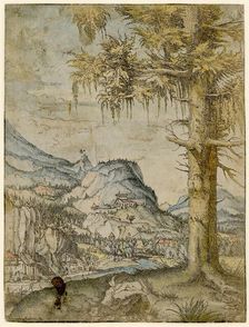 Large Spruce, ca 1517-1520. Creator: Altdorfer, Albrecht (c. 1480-1538)