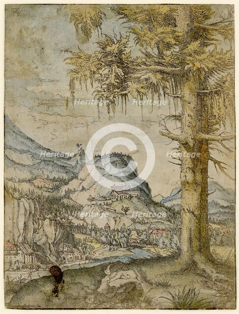 Large Spruce, ca 1517-1520. Creator: Altdorfer, Albrecht (c. 1480-1538).