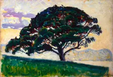 Large Pine, Saint-Tropez 1892-1893. Artist: Paul Signac