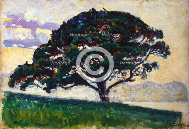 'Large Pine, Saint-Tropez', 1892-1893.  Artist: Paul Signac